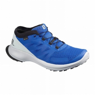 Men's Salomon SENSE FLOW GTX Trail Running Shoes Blue | US-RZLP057