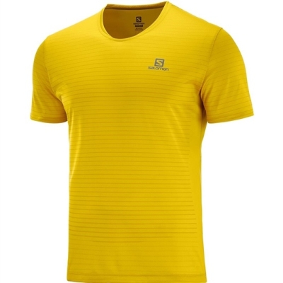 Men's Salomon SENSE M T Shirts Yellow | US-VBHJ013