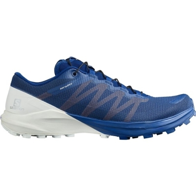 Men's Salomon SENSE PRO 4 Road Running Shoes Navy | US-GNVT175