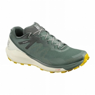 Men's Salomon SENSE RIDE 3 Running Shoes Olive | US-QBFG857