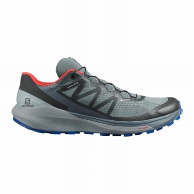 Men's Salomon SENSE RIDE 4 GORE-TEX INVISIBLE FIT Trail Running Shoes Dark Blue / Black | US-EGCO401