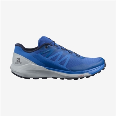 Men's Salomon SENSE RIDE 4 Trail Running Shoes Blue | US-WXDK943