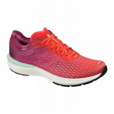 Men's Salomon SONIC 3 ACCELERATE Running Shoes Pink / White | US-TMHW546