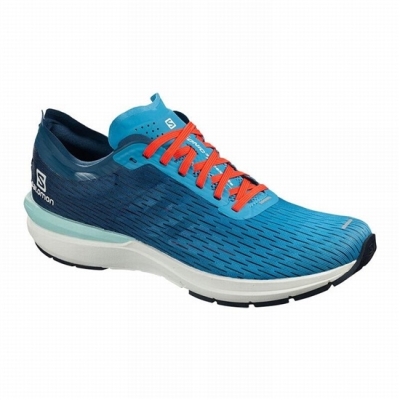 Men's Salomon SONIC 3 ACCELERATE Running Shoes Blue / Navy | US-YOBI408