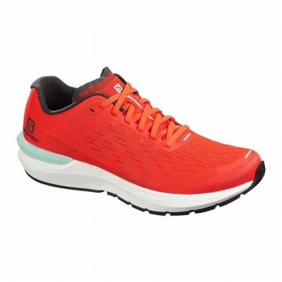 Men's Salomon SONIC 3 BALANCE Running Shoes Red | US-ESXH075