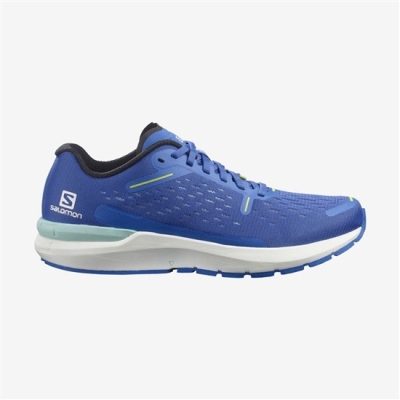 Men's Salomon SONIC 4 BALANCE Road Running Shoes Blue | US-CGSN892