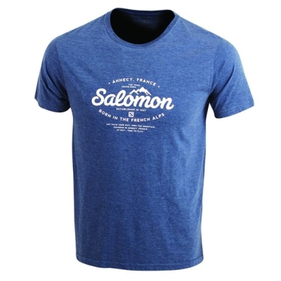 Men's Salomon SPRUCE SS M T Shirts Dark Denim | US-MPGI586