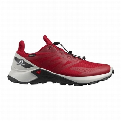 Men's Salomon SUPERCROSS BLAST GTX Trail Running Shoes Red | US-LOYR724