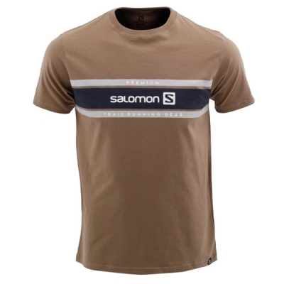 Men's Salomon TOW THE LINE SS M T Shirts Brown | US-JOFX392