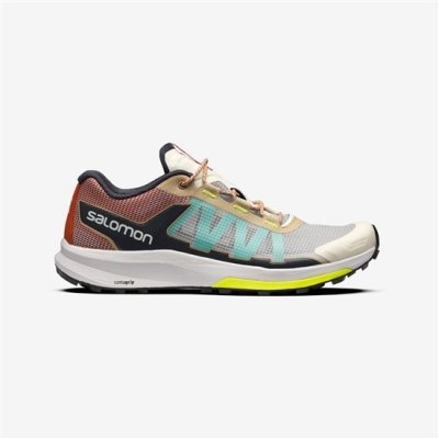 Men's Salomon ULTRA RAID Sneakers Multicolor | US-BYXT673