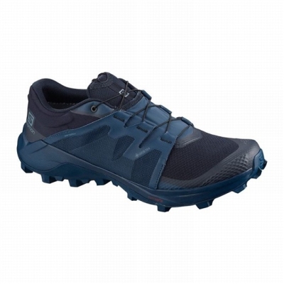 Men's Salomon WILDCROSS GTX Trail Running Shoes Navy | US-FVXC270