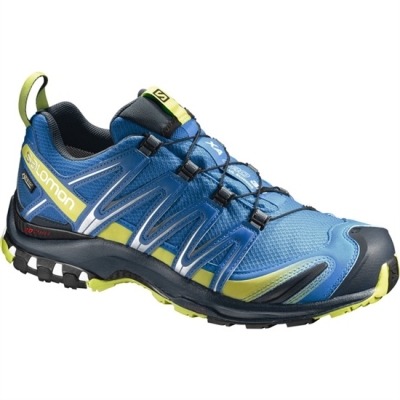 Men's Salomon XA PRO 3D GTX Trail Running Shoes Blue | US-JIBN693