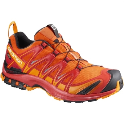 Men's Salomon XA PRO 3D GTX Trail Running Shoes Orange | US-WFKO358