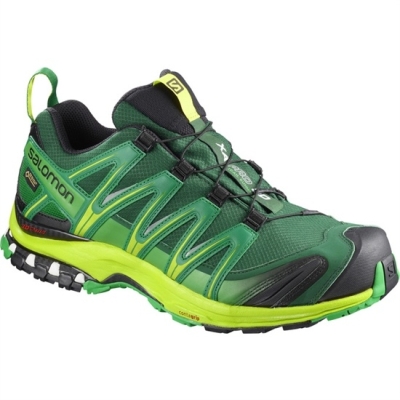 Men's Salomon XA PRO 3D GTX Trail Running Shoes Deep Green | US-WJUL485