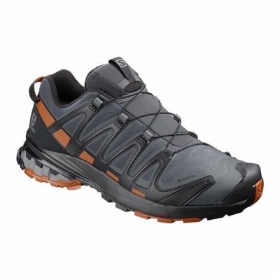 Men's Salomon XA PRO 3D V8 GORE-TEX Hiking Shoes Dark Blue / Black | US-AMWO785