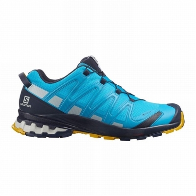 Men's Salomon XA PRO 3D V8 GORE-TEX Hiking Shoes Blue | US-FVKA813