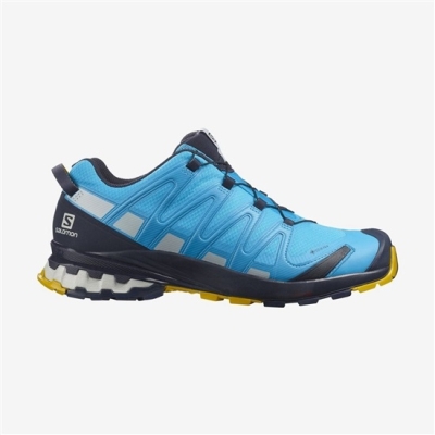 Men's Salomon XA PRO 3D V8 GORE-TEX Hiking Shoes Blue | US-GVFW956