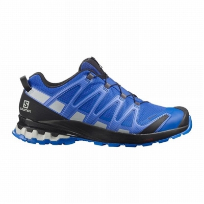 Men's Salomon XA PRO 3D V8 GORE-TEX Hiking Shoes Black / Blue | US-OXYW789