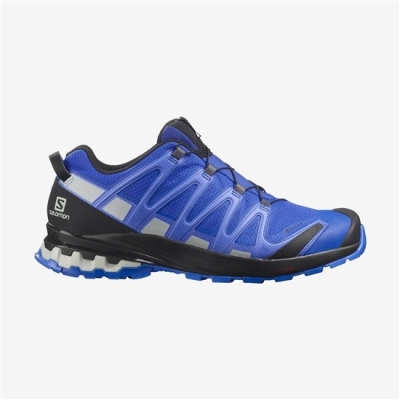 Men's Salomon XA PRO 3D V8 GORE-TEX Trail Running Shoes Blue | US-CSPO532