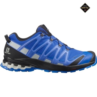 Men's Salomon XA PRO 3D V8 GORE-TEX Trail Running Shoes Navy | US-PIJS479