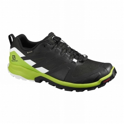 Men's Salomon XA ROGG GTX Hiking Shoes Black / Light Green | US-MAQI107