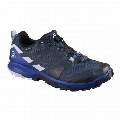 Men's Salomon XA ROGG GTX Hiking Shoes Navy / Black | US-HRAP206