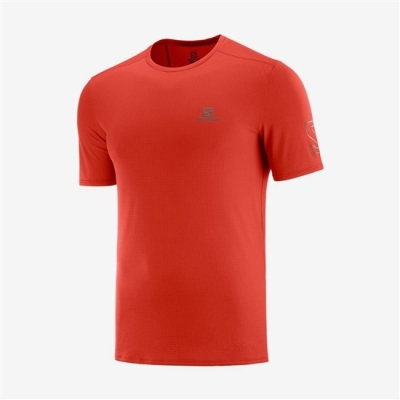 Men's Salomon XA TRAIL Short Sleeve T Shirts Orange | US-XZLN328