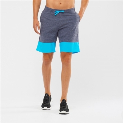 Men's Salomon XA TRAINING Shorts Grey / Sky Blue | US-CODH874