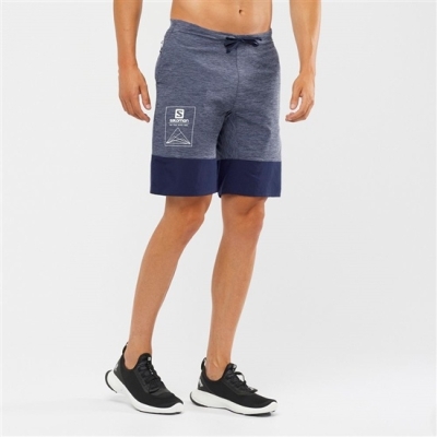 Men's Salomon XA TRAINING Shorts Grey / Navy | US-QASG835