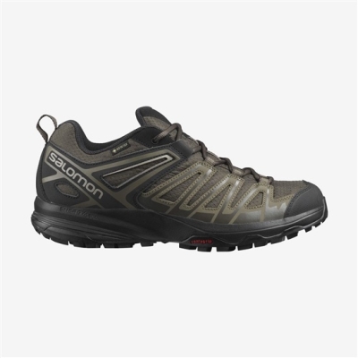 Men's Salomon X CREST GORE-TEX Hiking Shoes Brown | US-CYQW915