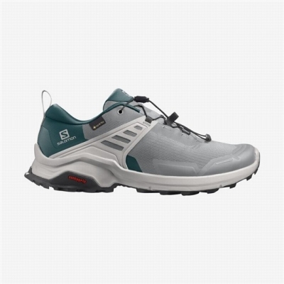 Men's Salomon X RAISE GORE-TEX Hiking Shoes Deep Grey / Turquoise | US-ILWN510