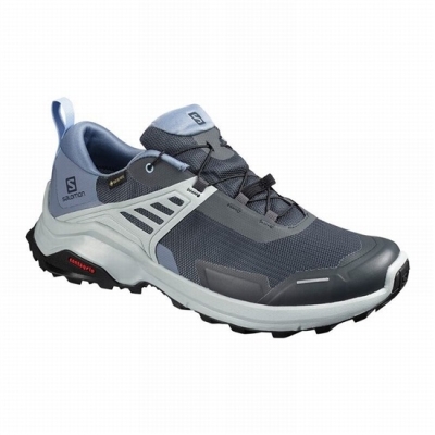 Men's Salomon X RAISE GORE-TEX Hiking Shoes Grey / Blue | US-TFEQ416