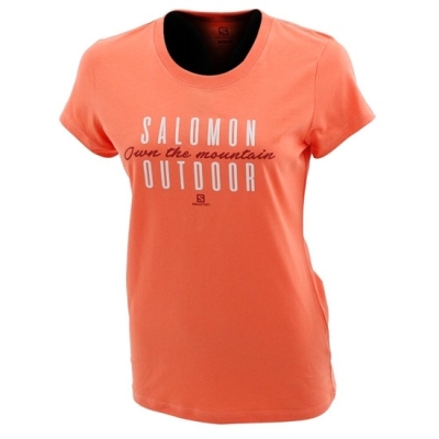 Women's Salomon BEEN THERE SS W Short Sleeve T Shirts Coral | US-VEBP956