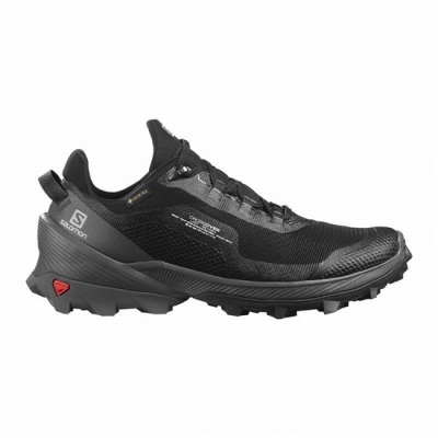 Women's Salomon CROSS OVER GORE-TEX Hiking Shoes Black | US-BYQC294