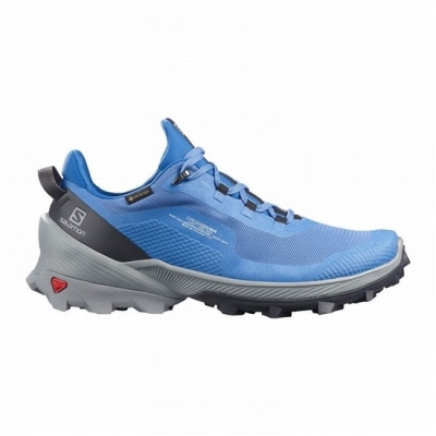 Women's Salomon CROSS OVER GORE-TEX Hiking Shoes Blue | US-LBXI024