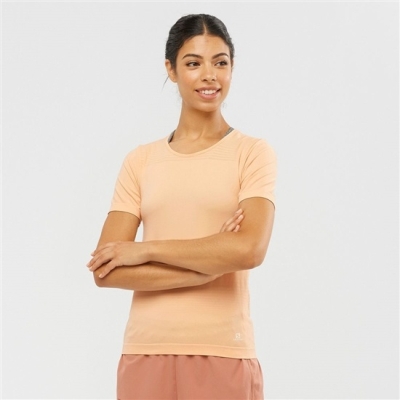 Women's Salomon ESSENTIAL MOVE ON SEAMLESS T Shirts Beige | US-OWLT521