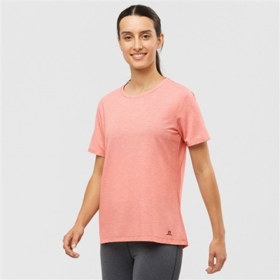 Women's Salomon ESSENTIAL TENCEL T Shirts Coral | US-ZAWY317