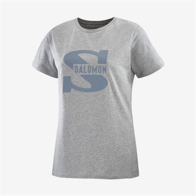 Women's Salomon OUTLIFE BIG LOGO Short Sleeve T Shirts Mid Grey | US-CUQM643