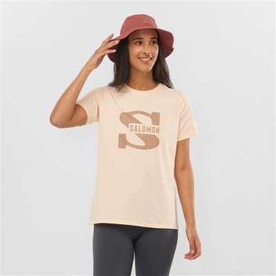 Women's Salomon OUTLIFE BIG LOGO Short Sleeve T Shirts Beige | US-TXMC036