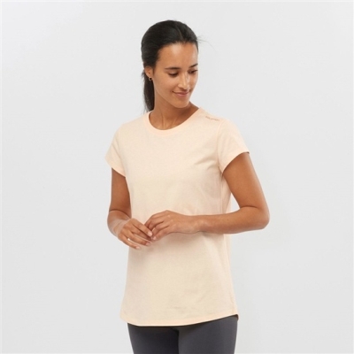 Women's Salomon OUTLIFE SCOOP HEM W Short Sleeve T Shirts Beige | US-FLAO362