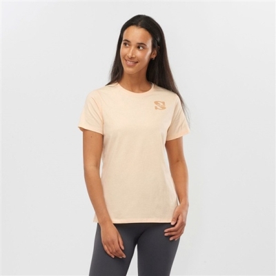 Women's Salomon OUTLIFE SMALL LOGO SS W Short Sleeve T Shirts Khaki | US-LGOT362