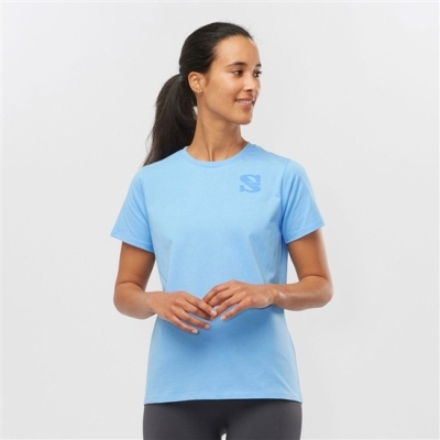 Women's Salomon OUTLIFE SMALL LOGO SS W Short Sleeve T Shirts Light Blue | US-MJFG862