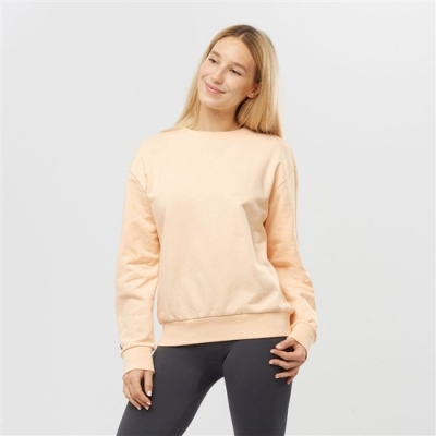 Women's Salomon OUTLIFE SUMMER Crewneck Pullover Beige | US-MJZC518