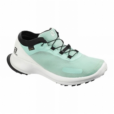 Women's Salomon SENSE FEEL GTX W Trail Running Shoes Turquoise / White | US-BUAV509