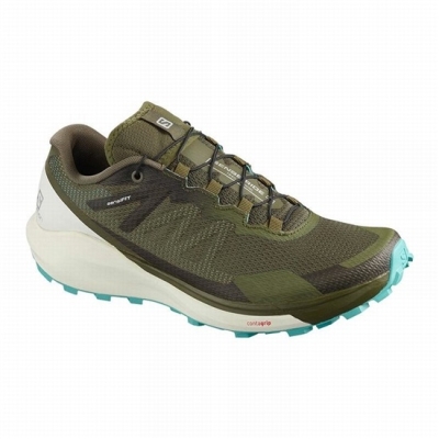 Women's Salomon SENSE RIDE 3 W Running Shoes Olive | US-ZCFL264