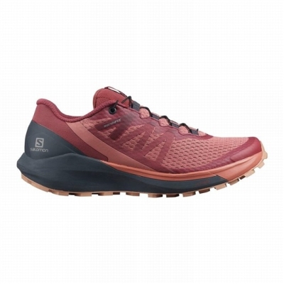 Women's Salomon SENSE RIDE 4 Running Shoes Dark Red | US-XWTK603