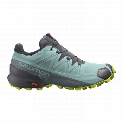 Women's Salomon SPEEDCROSS 5 GORE-TEX Trail Running Shoes Turquoise / Dark Grey | US-GDEM258