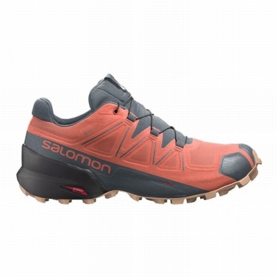 Women's Salomon SPEEDCROSS 5 GORE-TEX Trail Running Shoes Orange / Grey | US-ZIYG179