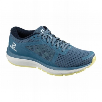 Women's Salomon VECTUR Running Shoes Blue / White | US-ZJKV294