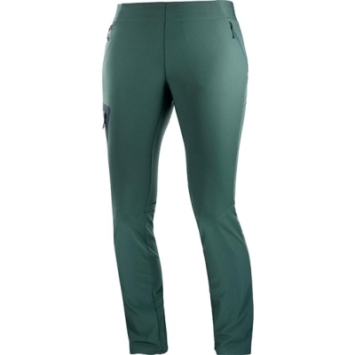 Women's Salomon WAYFARER ALPINE W Pants Green | US-UMSJ547